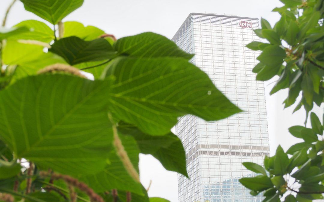 Sustainability in business: Building a sustainable company