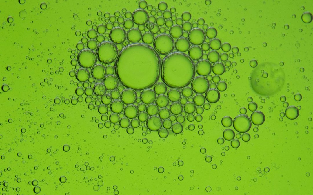 Where does hydrogen fit in a net zero future?